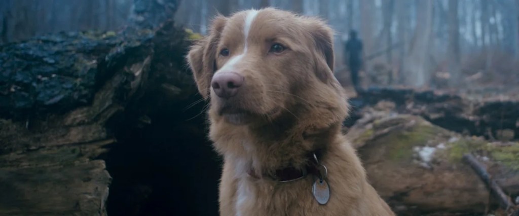 Ben Leonberg Talks Good Boy: Courage the Cowardly Dog, Horror Tropes & Indie&nbsp;Filmmaking